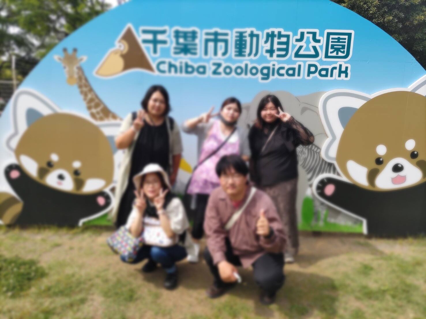 image_123650291 (9)